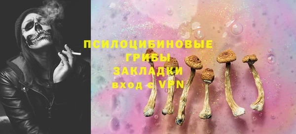 стаф Абдулино